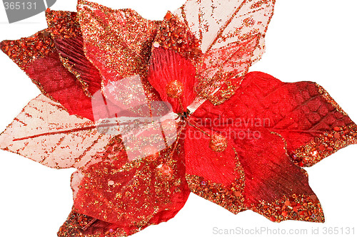 Image of Red leafs