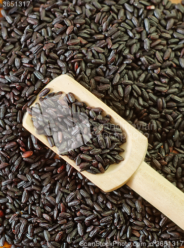 Image of black rice