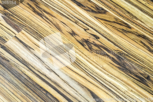 Image of Wooden texture