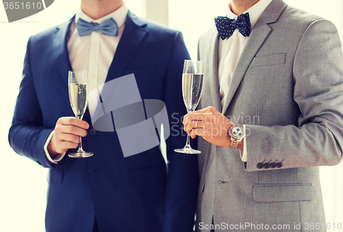 Image of close up of male gay couple with champagne glasses