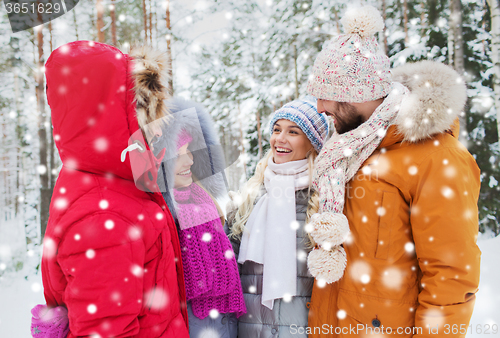 Image of group of smiling men and women in winter forest