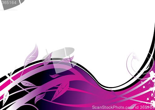 Image of purple flower