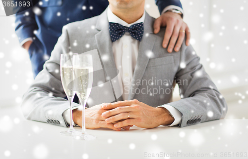 Image of close up of male gay couple with champagne glasses