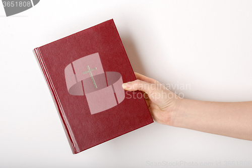 Image of hand holding the book bible