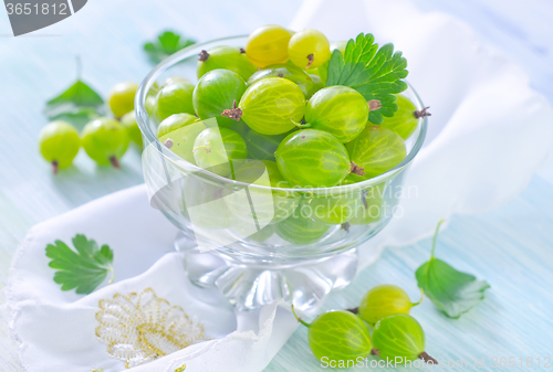 Image of gooseberry