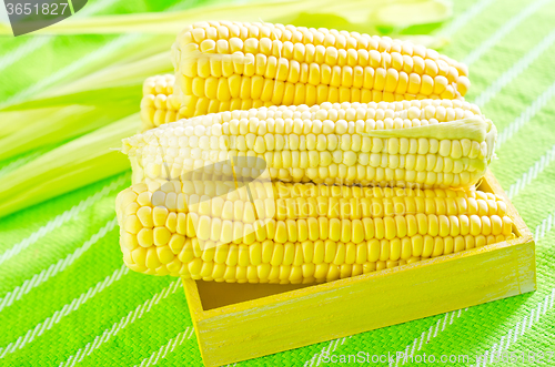 Image of raw corn