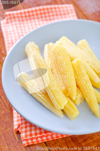 Image of baby corn