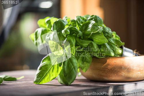 Image of Fresh organic basil