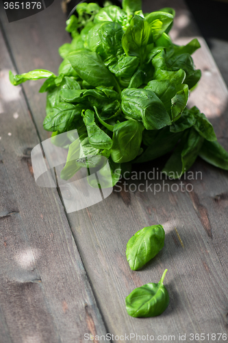 Image of Fresh organic basil