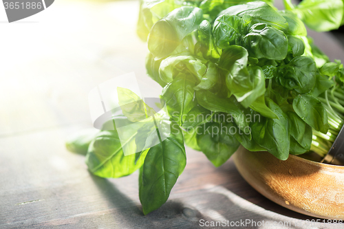 Image of Fresh organic basil