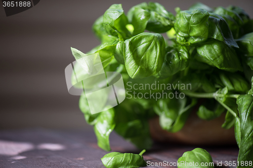 Image of Fresh organic basil