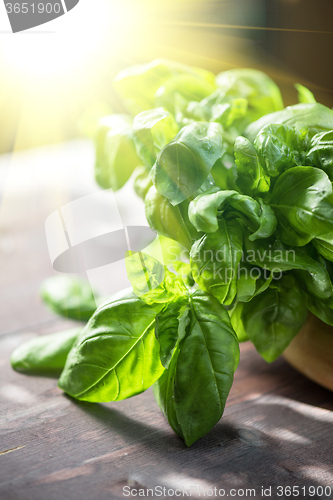 Image of Fresh organic basil