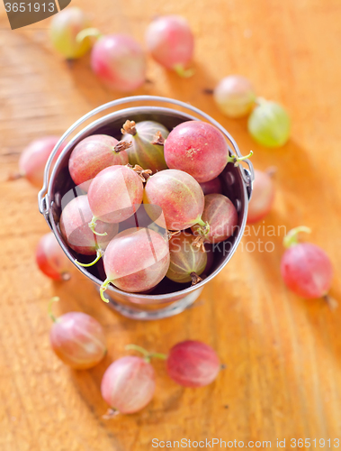 Image of gooseberry
