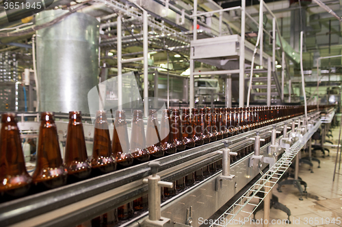 Image of Beer bottles on the conveyor 