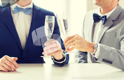 Image of close up of male gay couple with champagne glasses