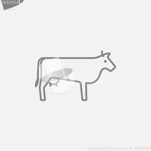 Image of Cow line icon.