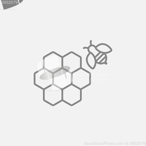 Image of Honeycomb and bee line icon.