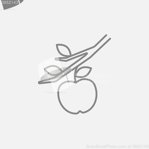 Image of Apple harvest line icon.