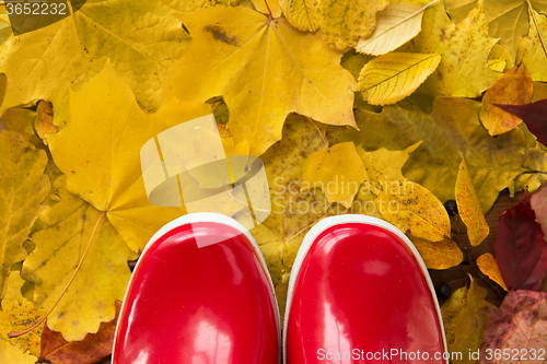 Image of close up of red rubber boots on autumn leaves