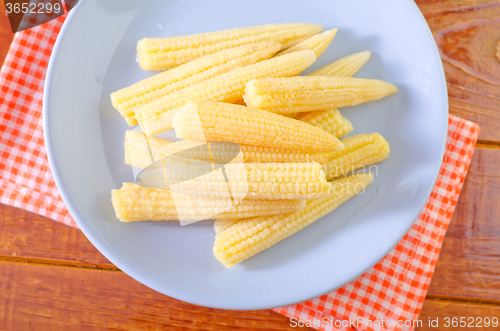 Image of baby corn