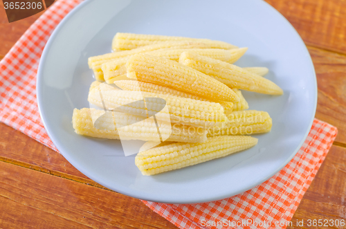 Image of baby corn