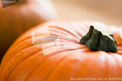 Image of close up of pumpkins