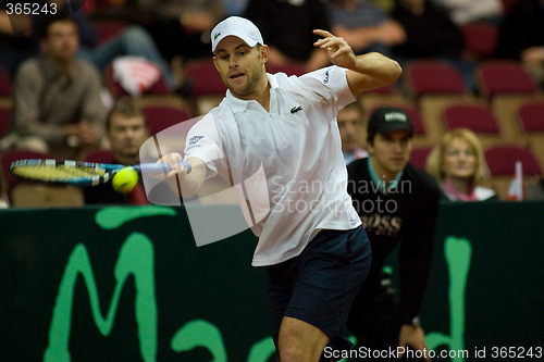 Image of Andy Roddick