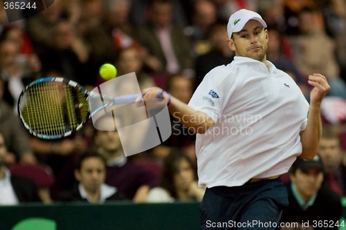 Image of Andy Roddick