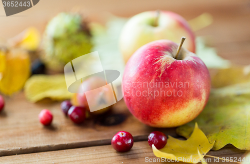 Image of close up of autumn leaves, fruits and berries