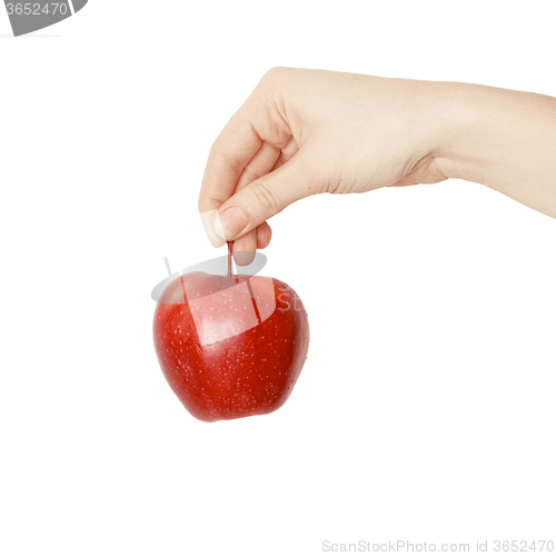 Image of hand holding red apple