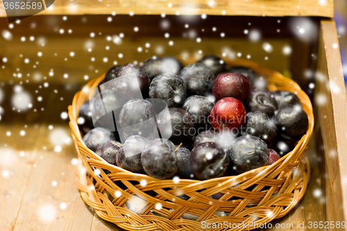 Image of ripe plums in basket at farm or food market