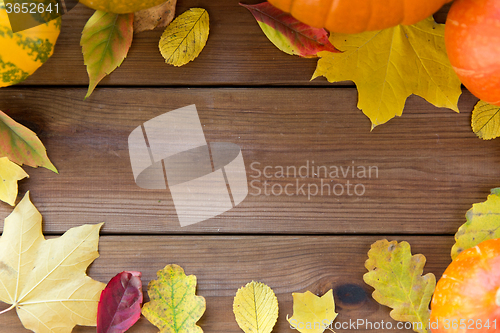 Image of frame of many different fallen autumn leaves