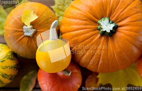 Image of close up of pumpkins on wooden table at home