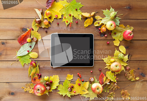 Image of tablet pc with autumn leaves, fruits and berries