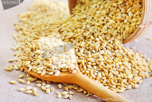 Image of wheat