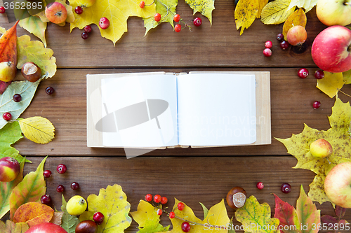 Image of empty book with autumn leaves, fruits and berries