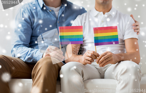 Image of close up of male gay couple holding rainbow flags