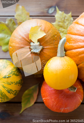 Image of close up of pumpkins on wooden table at home