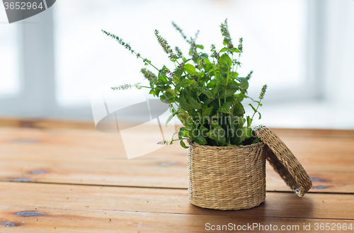 Image of close up of melissa in basket on wooden table