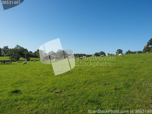 Image of View of Tanworth in Arden