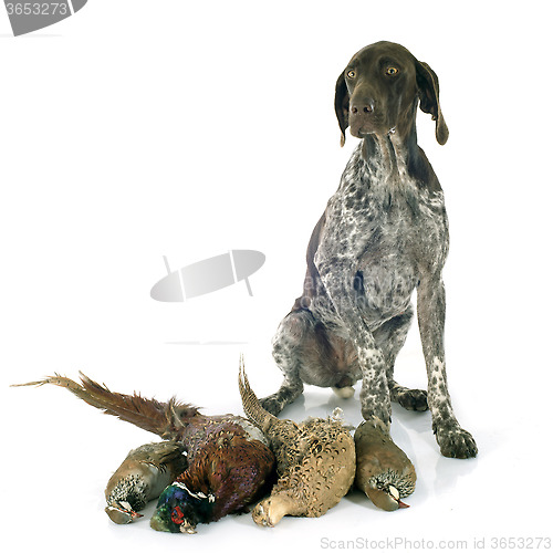 Image of hunting games and dog