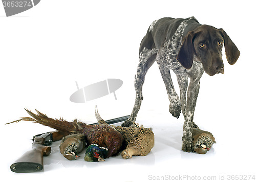 Image of hunting games and dog