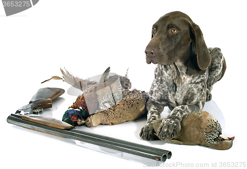 Image of hunting games and dog