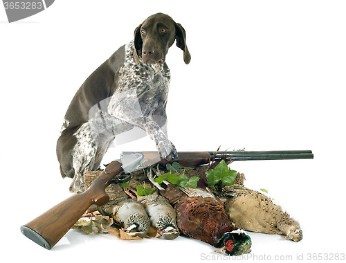 Image of hunting games and dog