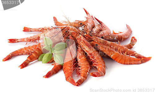 Image of Drunken shrimp