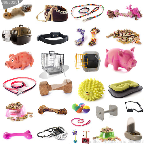 Image of pet accessories
