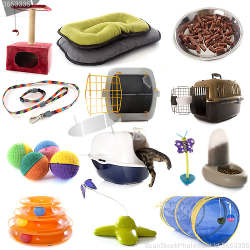 Image of group of cat accessories