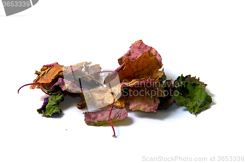 Image of colorful patchouli leaves dried