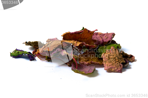 Image of dried patchouly leaves