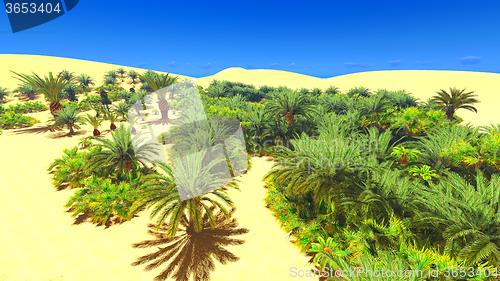 Image of African oasis on Sahara